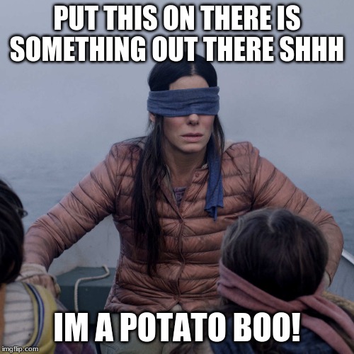 i dont know anymore | PUT THIS ON THERE IS SOMETHING OUT THERE SHHH; IM A POTATO BOO! | image tagged in memes,bird box | made w/ Imgflip meme maker