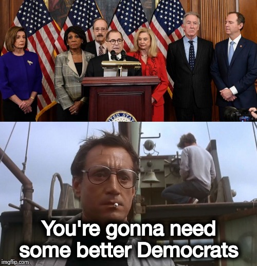 I can't get the "Loony Toons" theme out of my head | You're gonna need some better Democrats | image tagged in going to need a bigger boat,house democrats,cartoon logic,wile e coyote,road runner,acme | made w/ Imgflip meme maker
