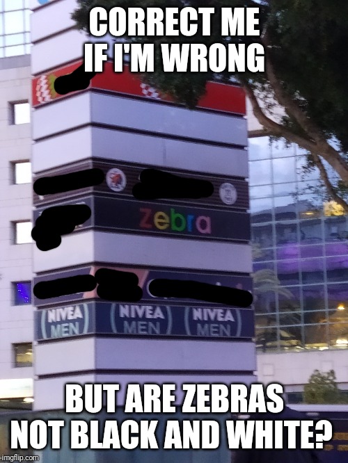Lol | CORRECT ME IF I'M WRONG; BUT ARE ZEBRAS NOT BLACK AND WHITE? | image tagged in zebra,meme,incorrect,funny | made w/ Imgflip meme maker