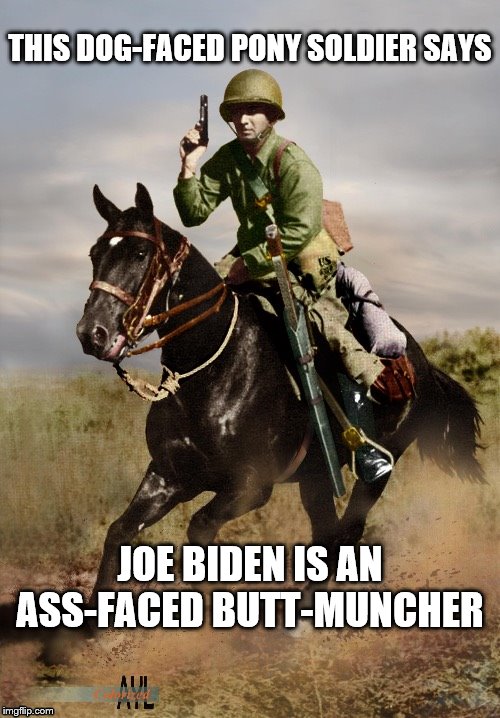 What did Biden say? |  THIS DOG-FACED PONY SOLDIER SAYS; JOE BIDEN IS AN ASS-FACED BUTT-MUNCHER | image tagged in memes | made w/ Imgflip meme maker