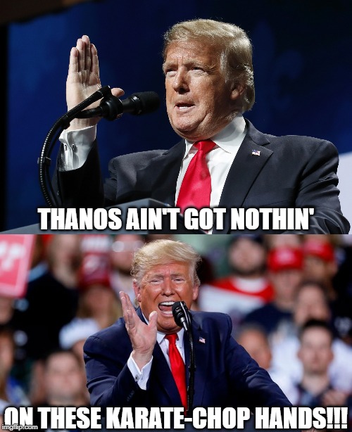 Trump'sKarateHands | THANOS AIN'T GOT NOTHIN'; ON THESE KARATE-CHOP HANDS!!! | image tagged in donald trump,trump,karate,hands,thanos | made w/ Imgflip meme maker