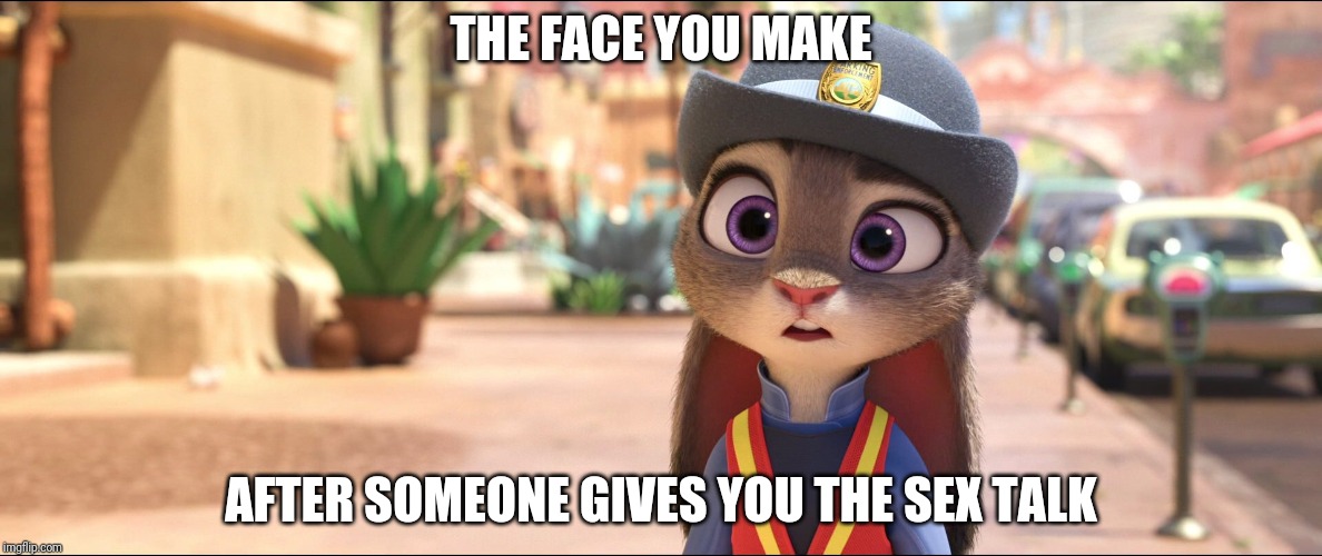 Confused Bunny | THE FACE YOU MAKE; AFTER SOMEONE GIVES YOU THE SEX TALK | image tagged in judy hopps confused,zootopia,judy hopps,the face you make when,sex,funny | made w/ Imgflip meme maker