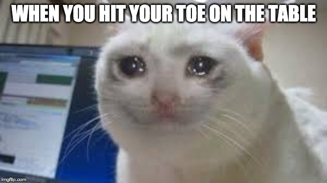 toe pains | WHEN YOU HIT YOUR TOE ON THE TABLE | image tagged in funny,memes,funny meme,funny memes,cats,sad cat | made w/ Imgflip meme maker