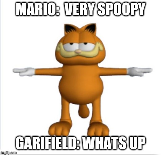 garfield t-pose | MARIO:  VERY SPOOPY; GARIFIELD: WHATS UP | image tagged in garfield t-pose | made w/ Imgflip meme maker