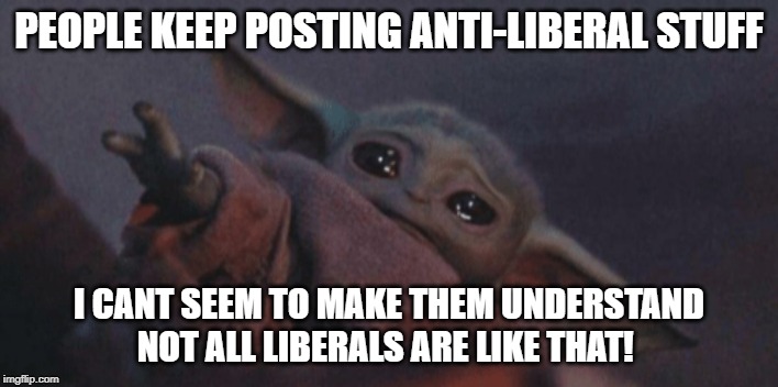 Baby yoda cry | PEOPLE KEEP POSTING ANTI-LIBERAL STUFF; I CANT SEEM TO MAKE THEM UNDERSTAND NOT ALL LIBERALS ARE LIKE THAT! | image tagged in baby yoda cry | made w/ Imgflip meme maker