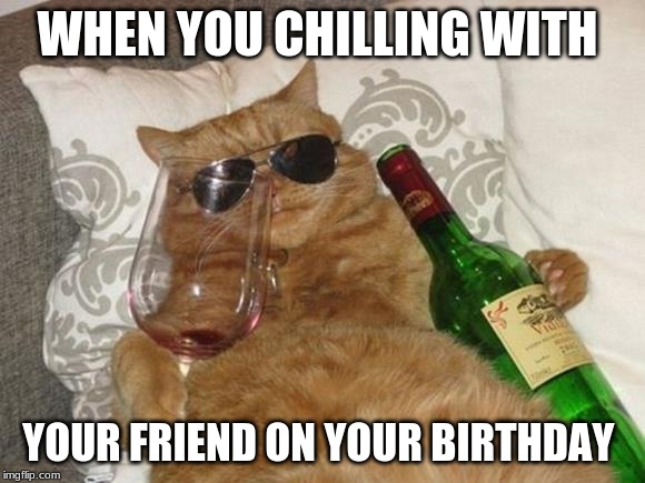 Funny Cat Birthday | WHEN YOU CHILLING WITH; YOUR FRIEND ON YOUR BIRTHDAY | image tagged in funny cat birthday | made w/ Imgflip meme maker