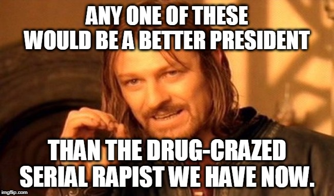 One Does Not Simply Meme | ANY ONE OF THESE WOULD BE A BETTER PRESIDENT THAN THE DRUG-CRAZED SERIAL RAPIST WE HAVE NOW. | image tagged in memes,one does not simply | made w/ Imgflip meme maker