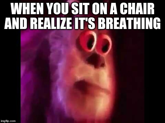 Sully Groan | WHEN YOU SIT ON A CHAIR AND REALIZE IT'S BREATHING | image tagged in sully groan | made w/ Imgflip meme maker