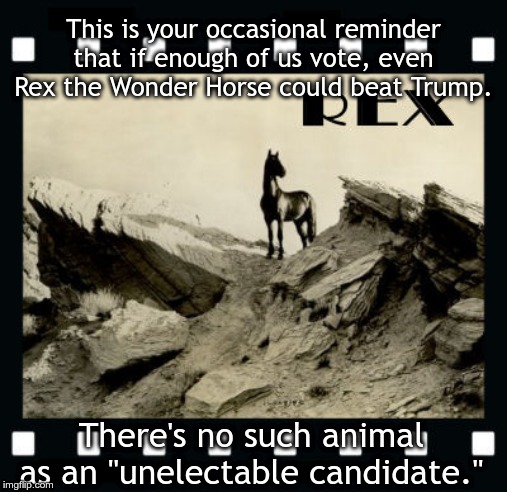 Rex the wonder horse | This is your occasional reminder that if enough of us vote, even Rex the Wonder Horse could beat Trump. There's no such animal as an "unelectable candidate." | image tagged in rex the wonder horse | made w/ Imgflip meme maker