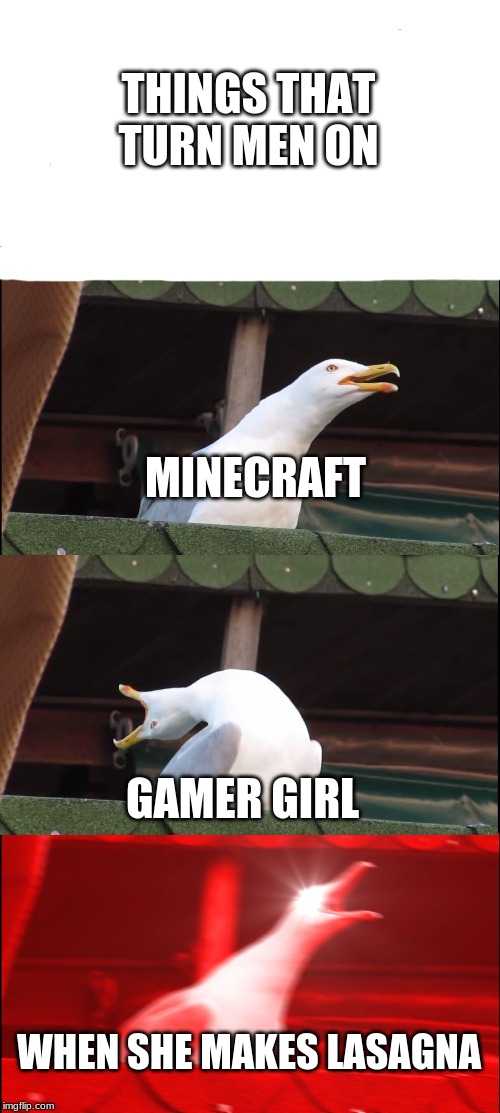Inhaling Seagull Meme | THINGS THAT TURN MEN ON; MINECRAFT; GAMER GIRL; WHEN SHE MAKES LASAGNA | image tagged in memes,inhaling seagull | made w/ Imgflip meme maker