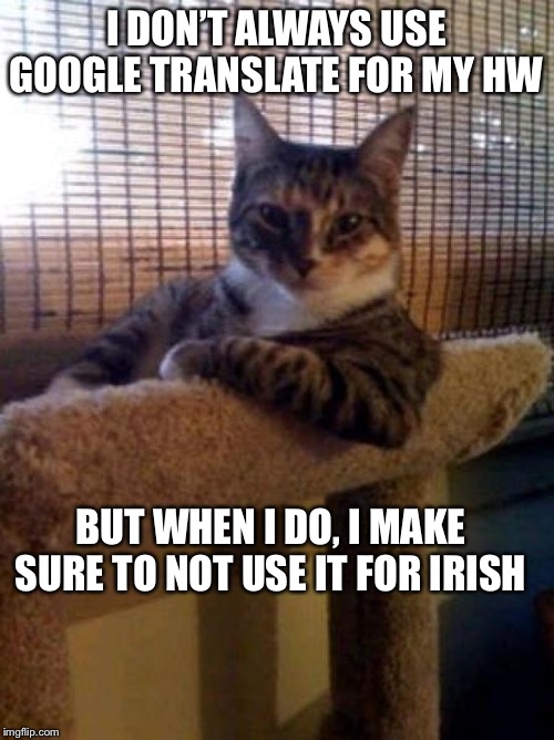 The Most Interesting Cat In The World | I DON’T ALWAYS USE GOOGLE TRANSLATE FOR MY HW; BUT WHEN I DO, I MAKE SURE TO NOT USE IT FOR IRISH | image tagged in memes,the most interesting cat in the world | made w/ Imgflip meme maker