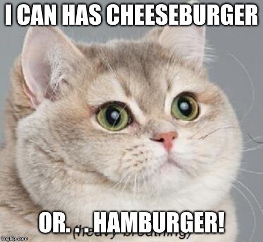Heavy Breathing Cat | I CAN HAS CHEESEBURGER; OR. . . HAMBURGER! | image tagged in memes,heavy breathing cat | made w/ Imgflip meme maker