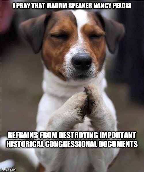 pet prayer | I PRAY THAT MADAM SPEAKER NANCY PELOSI; REFRAINS FROM DESTROYING IMPORTANT HISTORICAL CONGRESSIONAL DOCUMENTS | image tagged in pet prayer | made w/ Imgflip meme maker
