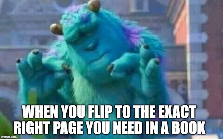 Sully shutdown | WHEN YOU FLIP TO THE EXACT RIGHT PAGE YOU NEED IN A BOOK | image tagged in sully shutdown | made w/ Imgflip meme maker