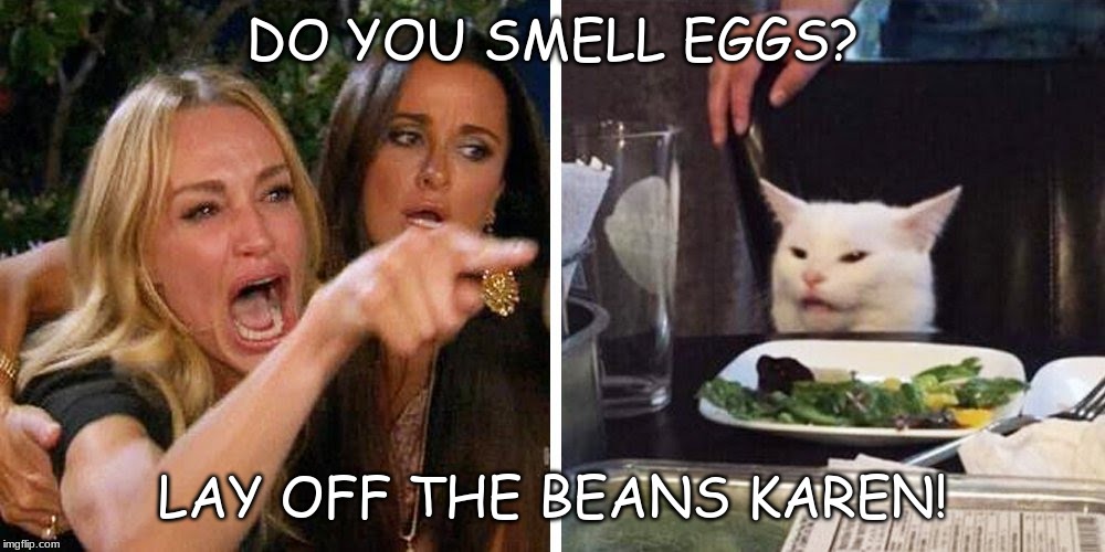 Smudge the cat | DO YOU SMELL EGGS? LAY OFF THE BEANS KAREN! | image tagged in smudge the cat | made w/ Imgflip meme maker