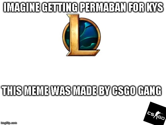 Blank White Template | IMAGINE GETTING PERMABAN FOR KYS; THIS MEME WAS MADE BY CSGO GANG | image tagged in blank white template,csgo,lol,leagueoflegends,counterstrike | made w/ Imgflip meme maker
