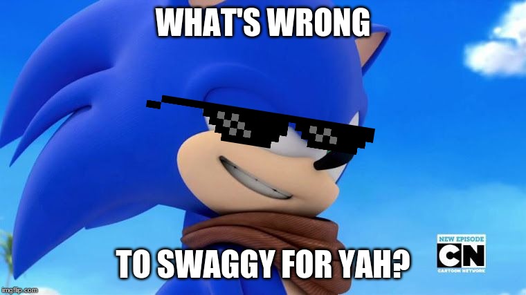 sonic got that swaaaaaaaag | WHAT'S WRONG; TO SWAGGY FOR YAH? | image tagged in sonic meme,swag | made w/ Imgflip meme maker