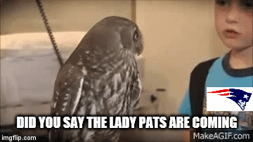 DID YOU SAY THE LADY PATS ARE COMING | image tagged in gifs | made w/ Imgflip video-to-gif maker