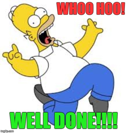 WHOO HOO! WELL DONE!!!! | image tagged in well done | made w/ Imgflip meme maker