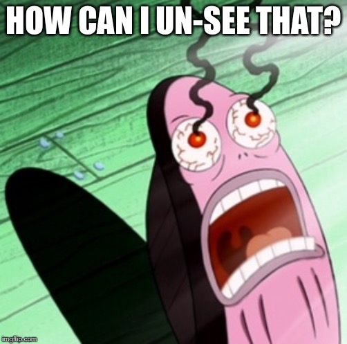 Burning eyes | HOW CAN I UN-SEE THAT? | image tagged in burning eyes | made w/ Imgflip meme maker