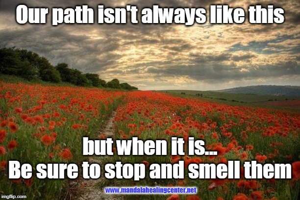 nature based god | Our path isn't always like this; but when it is...
Be sure to stop and smell them; www.mandalahealingcenter.net | image tagged in nature based god | made w/ Imgflip meme maker
