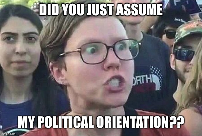 When you — unfairly! — assume someone is a “right-winger” when they instead self-identify as one who “opposes the Left” | DID YOU JUST ASSUME; MY POLITICAL ORIENTATION?? | image tagged in triggered liberal,right wing,left wing,politics lol,did you just assume my gender,imgflip trolls | made w/ Imgflip meme maker