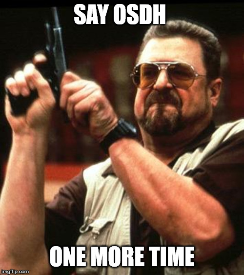 Say One More Time | SAY OSDH; ONE MORE TIME | image tagged in say one more time | made w/ Imgflip meme maker