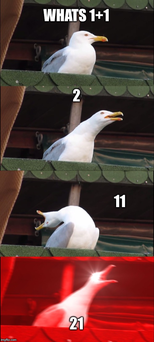 Inhaling Seagull Meme | WHATS 1+1; 2; 11; 21 | image tagged in memes,inhaling seagull | made w/ Imgflip meme maker