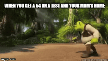 hey | WHEN YOU GET A 64 ON A TEST AND YOUR MOM'S HOME | image tagged in gifs,memes | made w/ Imgflip video-to-gif maker