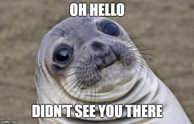 Awkward Moment Sealion | OH HELLO; DIDN'T SEE YOU THERE | image tagged in memes,awkward moment sealion | made w/ Imgflip meme maker