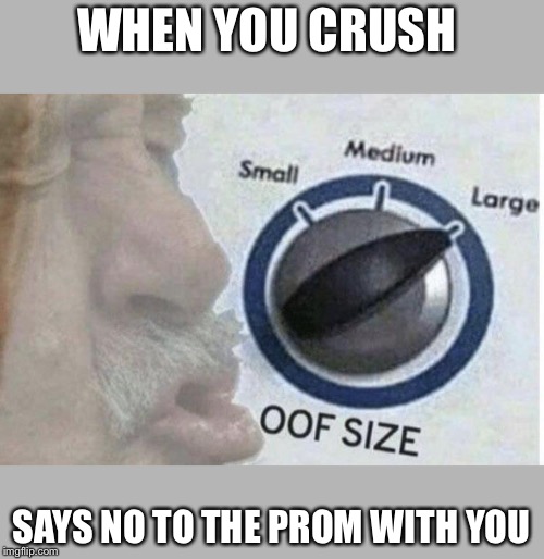 Oof size large | WHEN YOU CRUSH; SAYS NO TO THE PROM WITH YOU | image tagged in oof size large | made w/ Imgflip meme maker