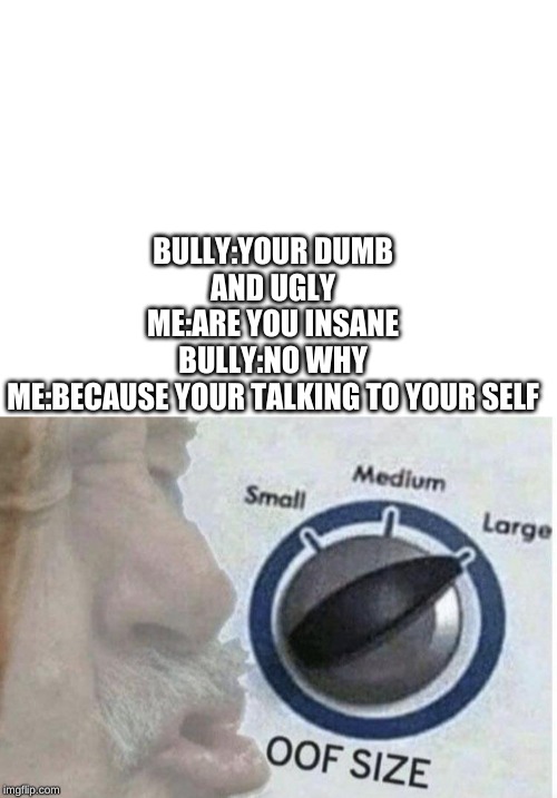BULLY:YOUR DUMB AND UGLY
ME:ARE YOU INSANE
BULLY:NO WHY
ME:BECAUSE YOUR TALKING TO YOUR SELF | image tagged in blank white template | made w/ Imgflip meme maker