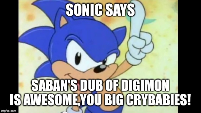 Sonic says | SONIC SAYS; SABAN'S DUB OF DIGIMON IS AWESOME,YOU BIG CRYBABIES! | image tagged in sonic says | made w/ Imgflip meme maker