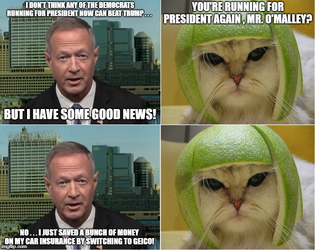 Martin O'Malley and the Cat with the Lime Football Helmet | image tagged in martin o'malley,cat with lime football helmet,election 2020 | made w/ Imgflip meme maker