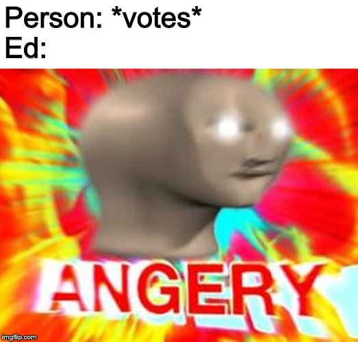 Surreal Angery | Person: *votes*
Ed: | image tagged in surreal angery | made w/ Imgflip meme maker