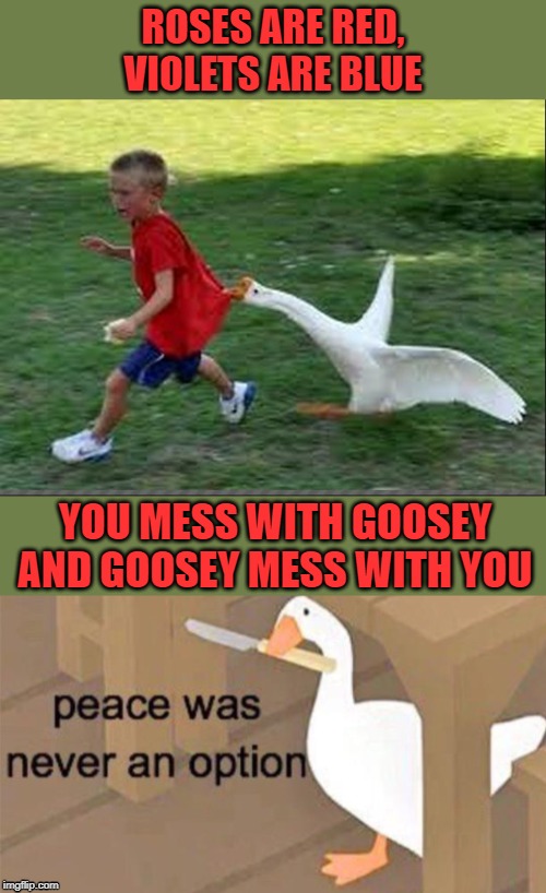 You can run child, but you cannot hide | ROSES ARE RED,
VIOLETS ARE BLUE; YOU MESS WITH GOOSEY
AND GOOSEY MESS WITH YOU | image tagged in goose chase,untitled goose peace was never an option,fun,funny,run,funny memes | made w/ Imgflip meme maker