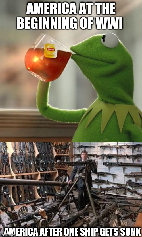 AMERICA AT THE BEGINNING OF WWI; AMERICA AFTER ONE SHIP GETS SUNK | image tagged in memes,but thats none of my business | made w/ Imgflip meme maker