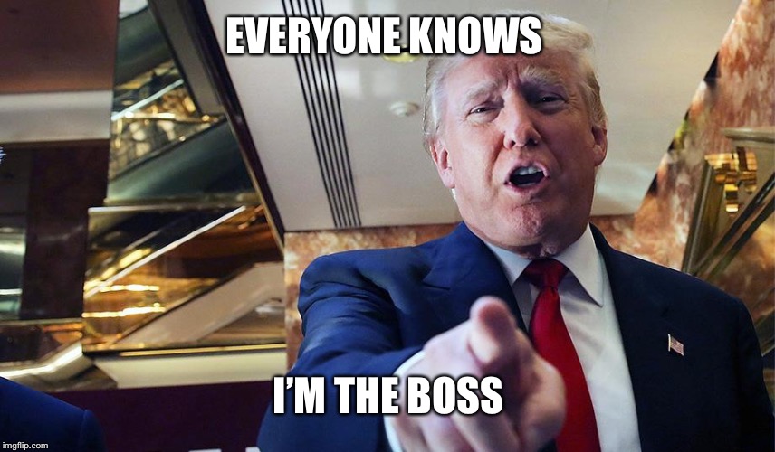 Trump I Want You | EVERYONE KNOWS I’M THE BOSS | image tagged in trump burn | made w/ Imgflip meme maker
