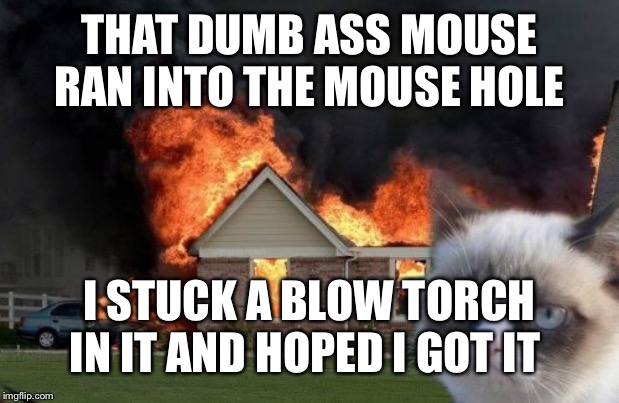 Burn Kitty Meme | THAT DUMB ASS MOUSE RAN INTO THE MOUSE HOLE; I STUCK A BLOW TORCH IN IT AND HOPED I GOT IT | image tagged in memes,burn kitty,grumpy cat | made w/ Imgflip meme maker