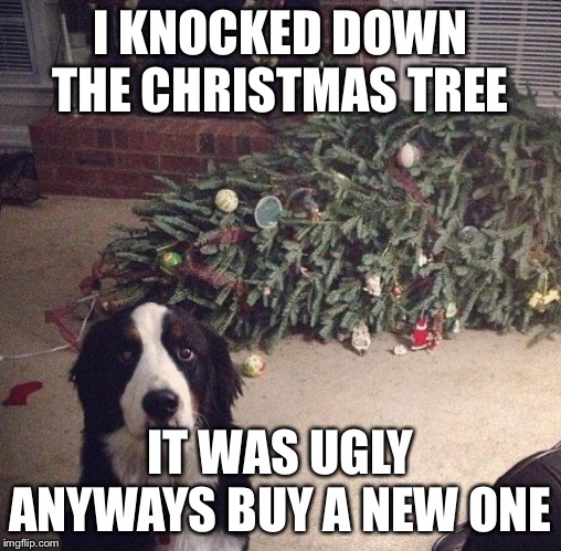 Dog Christmas Tree | I KNOCKED DOWN THE CHRISTMAS TREE; IT WAS UGLY ANYWAYS BUY A NEW ONE | image tagged in dog christmas tree | made w/ Imgflip meme maker
