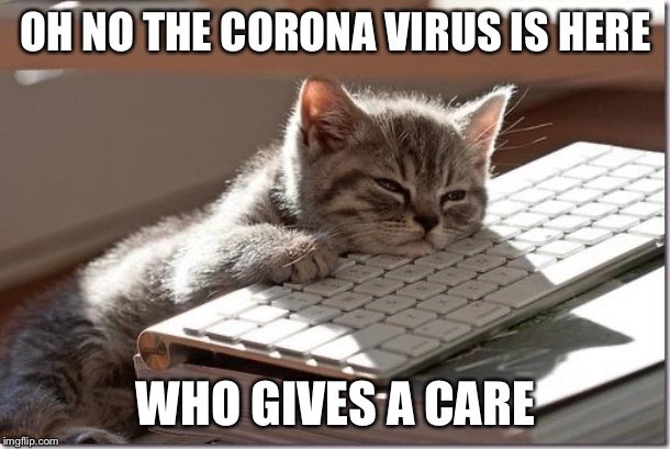Bored Keyboard Cat | OH NO THE CORONA VIRUS IS HERE; WHO GIVES A CARE | image tagged in bored keyboard cat | made w/ Imgflip meme maker