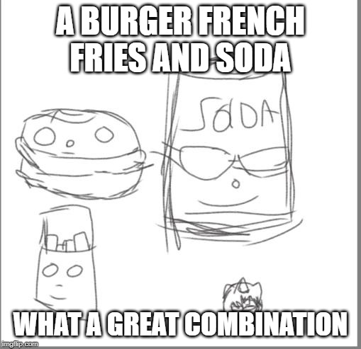 Fast food kult | A BURGER FRENCH FRIES AND SODA; WHAT A GREAT COMBINATION | image tagged in funny memes | made w/ Imgflip meme maker