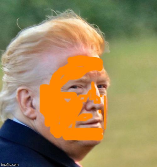 Trump tan | image tagged in trump tan | made w/ Imgflip meme maker