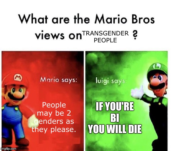 Mario Bros Views | TRANSGENDER PEOPLE; People may be 2 genders as they please. IF YOU'RE BI YOU WILL DIE | image tagged in mario bros views | made w/ Imgflip meme maker