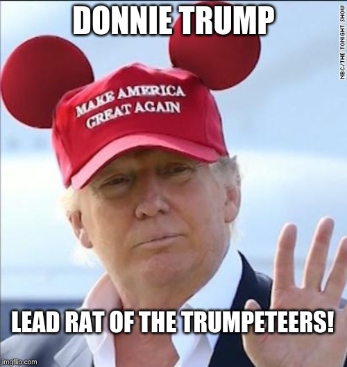 Donald Trump Trumpeteer | DONNIE TRUMP; LEAD RAT OF THE TRUMPETEERS! | image tagged in donald trump trumpeteer | made w/ Imgflip meme maker