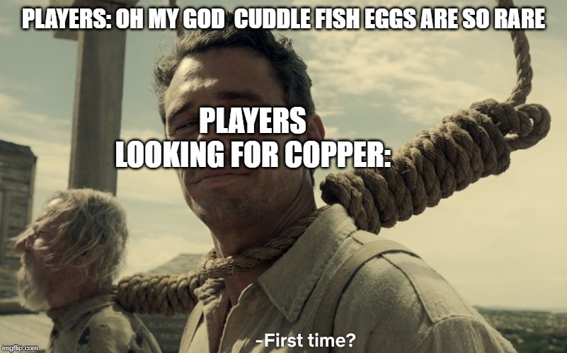 first time | PLAYERS: OH MY GOD  CUDDLE FISH EGGS ARE SO RARE; PLAYERS LOOKING FOR COPPER: | image tagged in first time | made w/ Imgflip meme maker