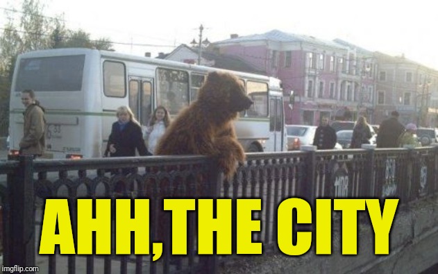 City Bear Meme | AHH,THE CITY | image tagged in memes,city bear | made w/ Imgflip meme maker