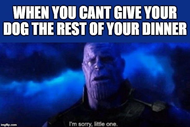 Im sorry little one | WHEN YOU CANT GIVE YOUR DOG THE REST OF YOUR DINNER | image tagged in im sorry little one | made w/ Imgflip meme maker