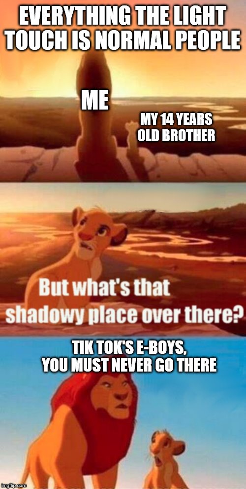 Simba Shadowy Place Meme | EVERYTHING THE LIGHT TOUCH IS NORMAL PEOPLE; ME; MY 14 YEARS OLD BROTHER; TIK TOK'S E-BOYS, YOU MUST NEVER GO THERE | image tagged in memes,simba shadowy place | made w/ Imgflip meme maker