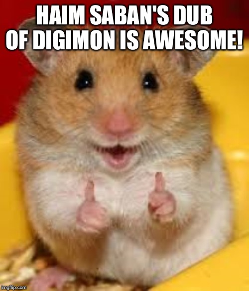Thumbs up hamster  | HAIM SABAN'S DUB OF DIGIMON IS AWESOME! | image tagged in thumbs up hamster | made w/ Imgflip meme maker